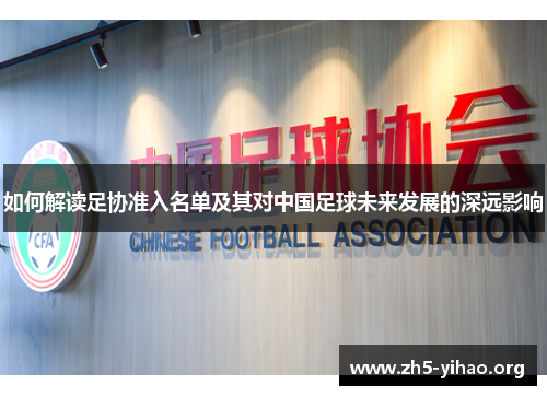如何解读足协准入名单及其对中国足球未来发展的深远影响