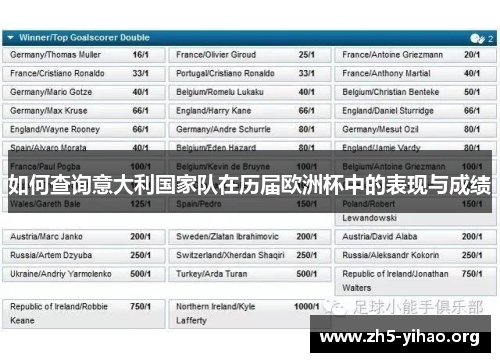 如何查询意大利国家队在历届欧洲杯中的表现与成绩