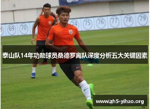 泰山队14年功勋球员桑德罗离队深度分析五大关键因素