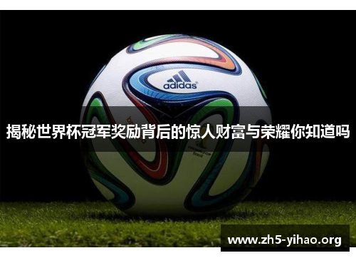 揭秘世界杯冠军奖励背后的惊人财富与荣耀你知道吗