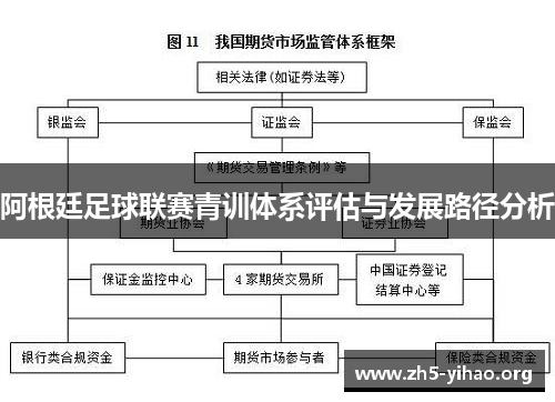 阿根廷足球联赛青训体系评估与发展路径分析 阿根廷足球联赛青训体系评估与发展路径分析