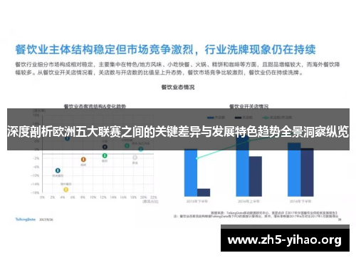 深度剖析欧洲五大联赛之间的关键差异与发展特色趋势全景洞察纵览 深度剖析欧洲五大联赛之间的关键差异与发展特色趋势全景洞察纵览