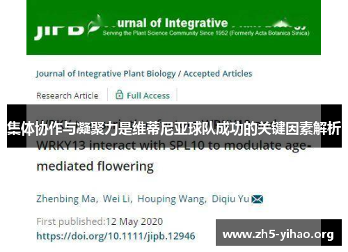 集体协作与凝聚力是维蒂尼亚球队成功的关键因素解析