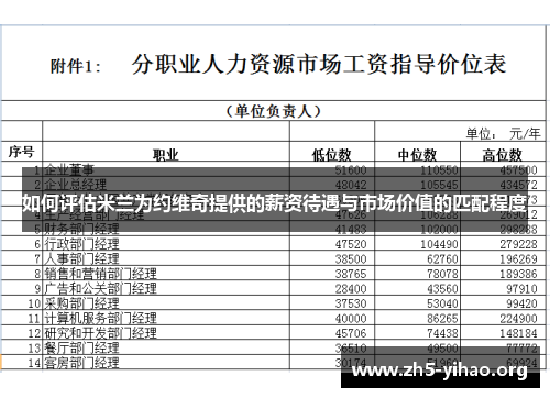 如何评估米兰为约维奇提供的薪资待遇与市场价值的匹配程度