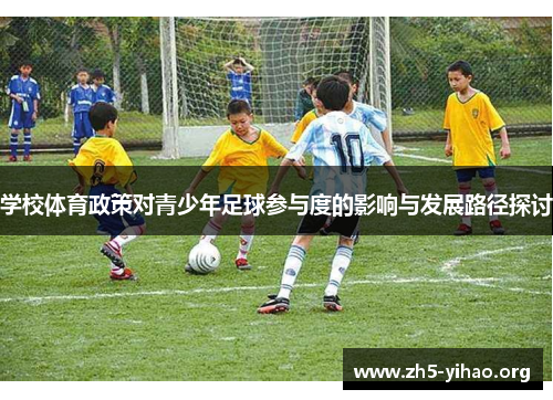 学校体育政策对青少年足球参与度的影响与发展路径探讨