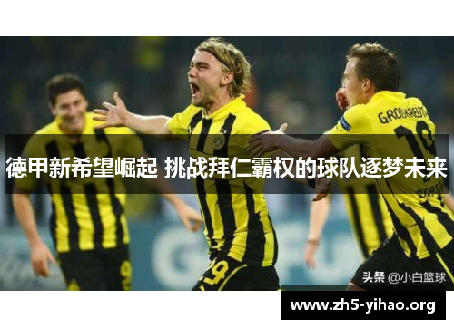 德甲新希望崛起 挑战拜仁霸权的球队逐梦未来