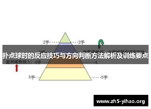 扑点球时的反应技巧与方向判断方法解析及训练要点